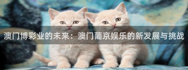 百达娱乐：澳门博彩业的未来：澳门葡京娱乐的新发展与挑战