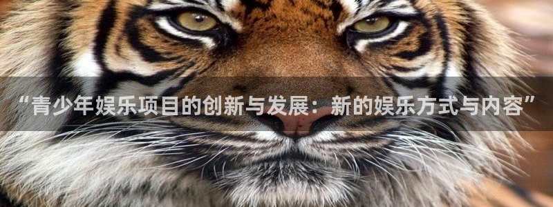 百达娱乐：“青少年娱乐项目的创新与发展：新的娱乐方式与内容”