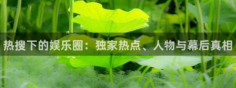 百达娱乐：热搜下的娱乐圈：独家热点、人物与幕后真相